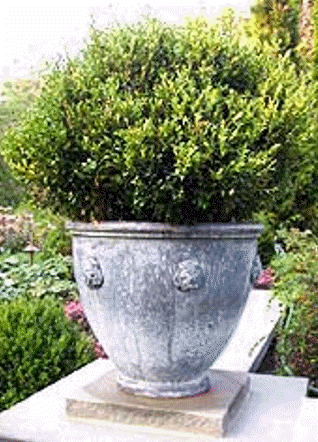 Fancy Lead Egg Cup Planter